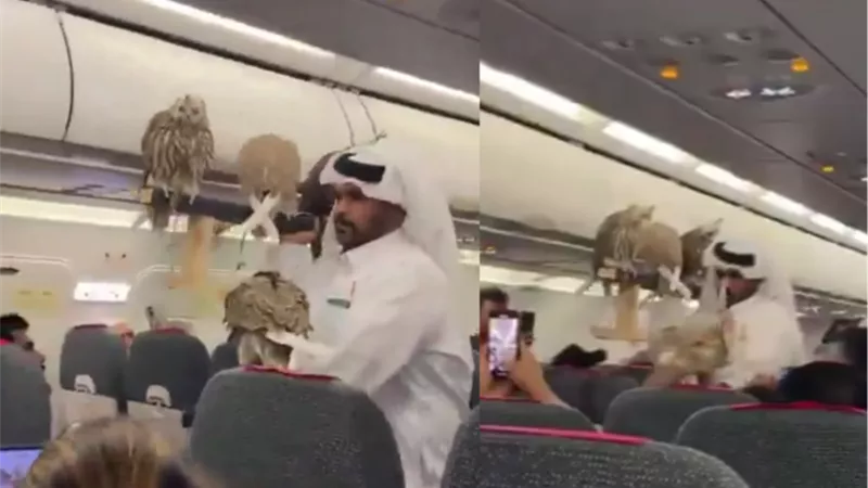 مواطن خليجي يصطحب صقورًا على متن طائرة ويثير الجدل على مواقع التواصل