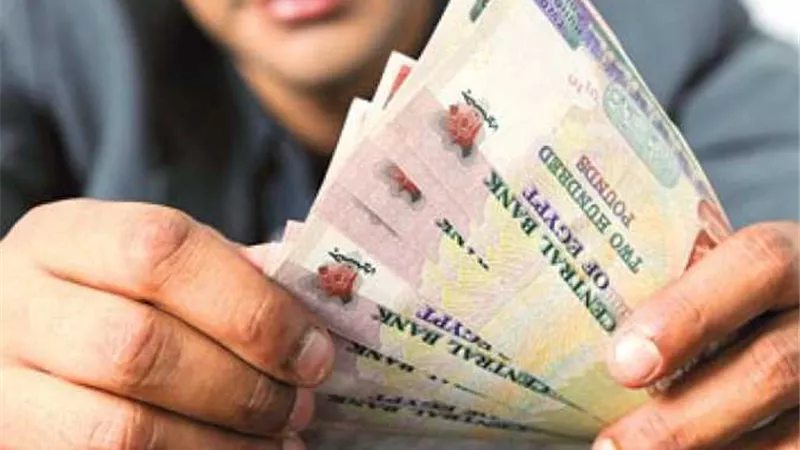 لماذا يتهافت المواطنون على شهادات الادخار الآمنة بعائد مضمون؟ 