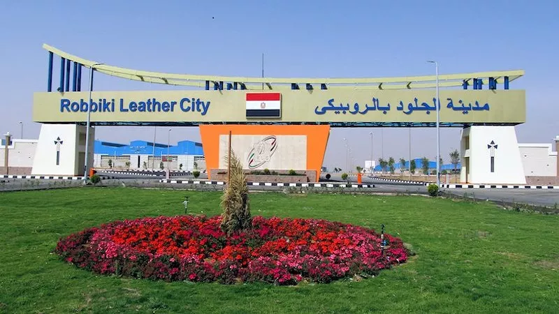 «الروبيكي».. رانيا هاشم تكشف أسرار صناعة الجلود وتطور التكنولوجيا في الدباغة