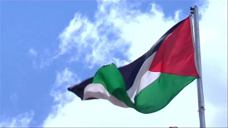 أستاذ علاقات دولية: اعتراف الأمم المتحدة بفلسطين معنوي وغير ملزم