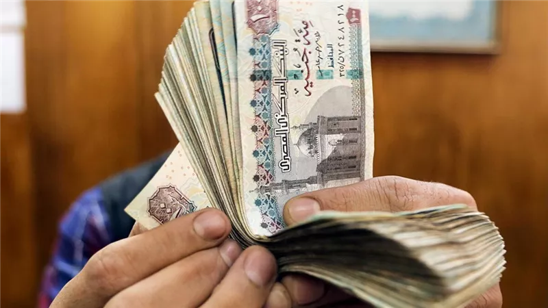 لأصحاب المشروعات الصغيرة.. اعرف رسوم الترخيص المؤقت 