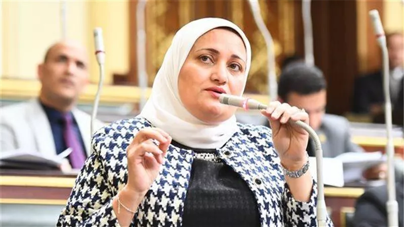 سناء السعيد: التعديلات المطروحة لا تفرق بين العقار الشخصي والاستثماري