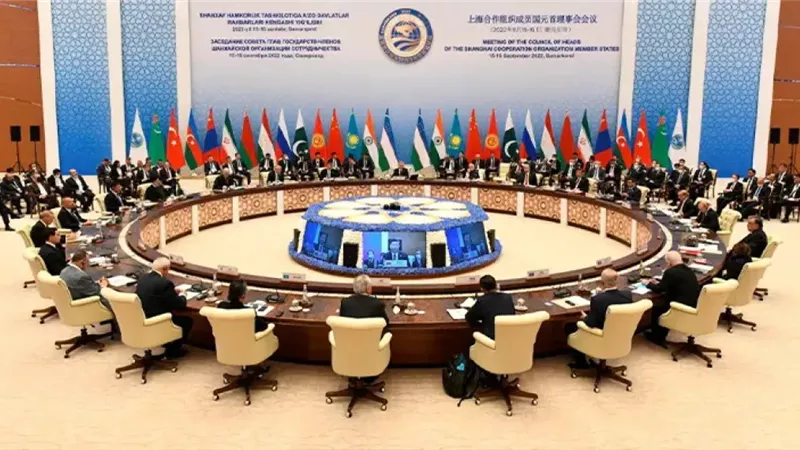«قمة شنغهاي».. ليو شو: بكين تؤكد قدرتها على جمع الحلفاء وتعزيز الحوار