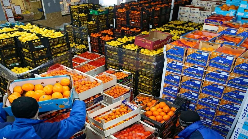 سيد خليفة: انخفاض واردات القمح 20% ومشروعات التوسع الأفقي تحقق أمنًا غذائيًا