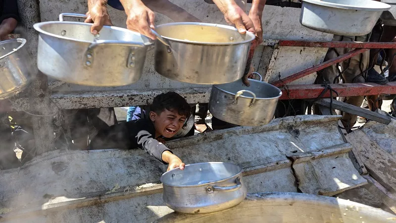 المتحدثة باسم المجلس النرويجي للاجئين: المدنيون في غزة يواجهون كارثة إنسانية