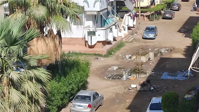 أهالي منطقة النخيل برأس البر يستغيثون بسبب انقطاع الكهرباء