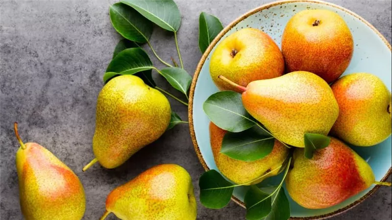 حبة أو حبتان يوميًا.. هذا ما يحدث لجسمك عند تناول الكمثرى