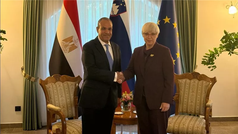 وزير الخارجية يعرب لرئيسة جمهورية سلوفينيا عن تطلعه لتعزيز التعاون الثنائي