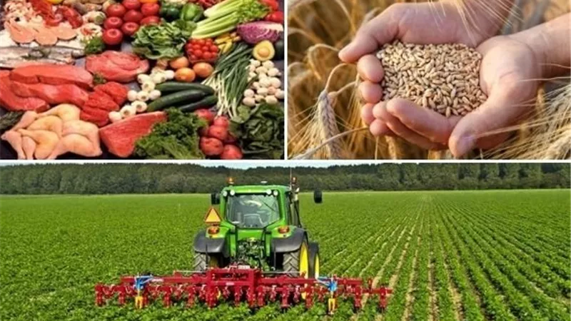 إبراهيم درويش: مصر جسر للتواصل بين الدول الكبرى والنامية لمواجهة أزمات الغذاء