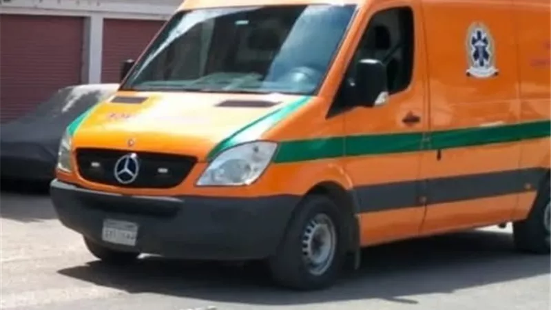 خلافات زوجية تدفع تاجر خردة بقتل زوج طليقته في أحد شوارع طنطا