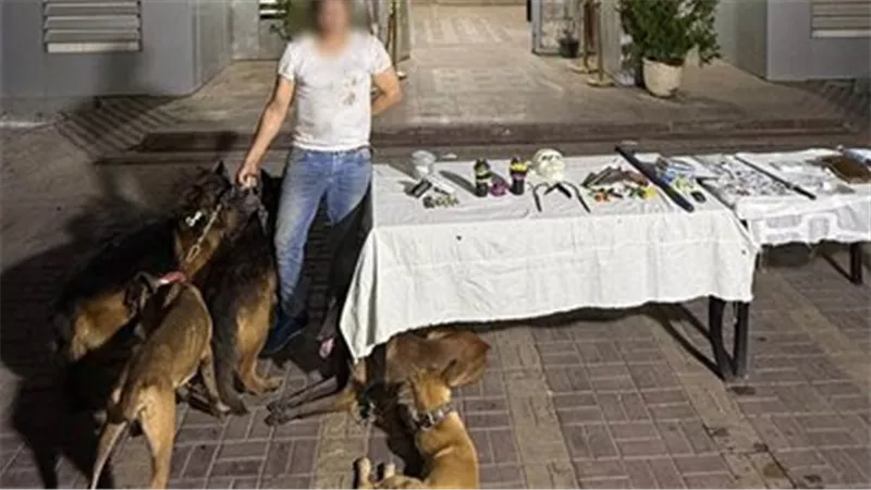 ضبط بلطجي متهم بالإتجار بالمخدرات وترهيب المواطنين بالكلاب الشرسة بمدينة نصر