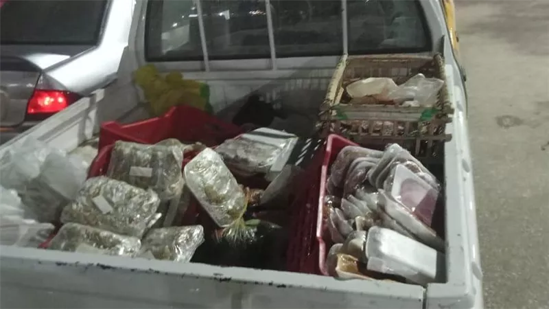 محافظ أسيوط: ضبط 3 أطنان لحوم ومنتجات حيوانية غير صالحة للاستهلاك