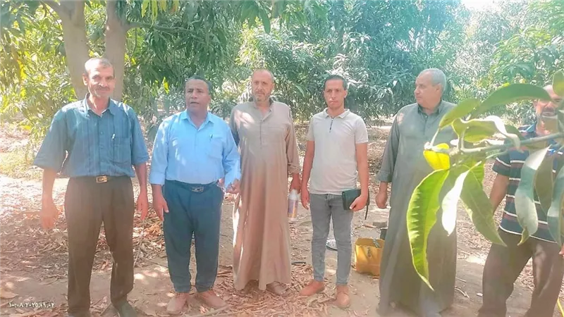 زراعة الإسماعيلية تواصل جهودها المكثفة لمكافحة ذبابة الفاكهة والخوخ