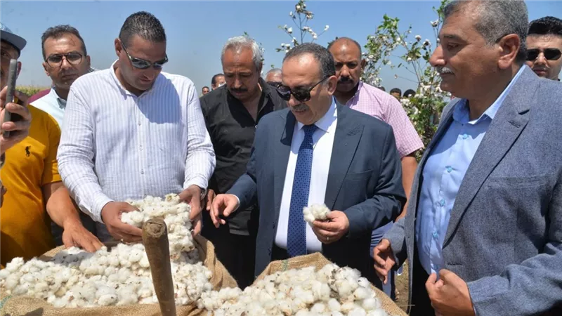 محافظ أسيوط يفتتح موسم جني القطن لعام 2025 ويؤكد دعم كامل للفلاح  