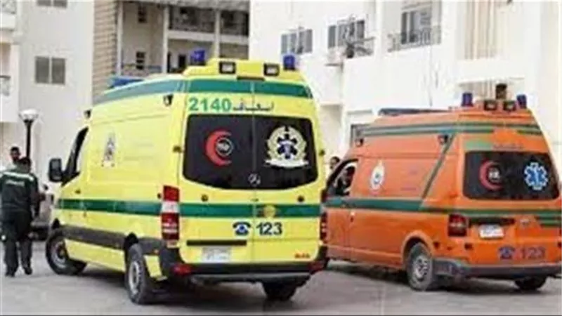 ننشر أسماء ضحايا حادث انقلاب سيارة سوزوكي على طريق خط 13 بالقليوبية