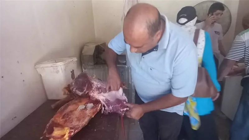 الزراعة تضبط  209 أطنان لحوم غير صالحة وتحرر 1003 محاضر خلال يناير 