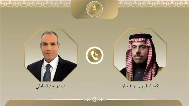 وزيرا خارجية مصر والسعودية يؤكدان رفضهما استمرار العدوان الإسرائيلي على غزة