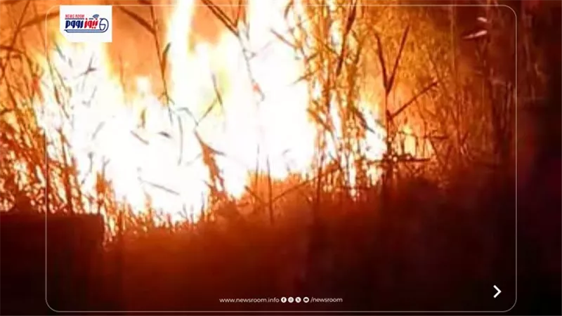 إخماد حريق محدود في هيش مبنى الري والوحدة المحلية القديمة بقرية أباظة بالفيوم