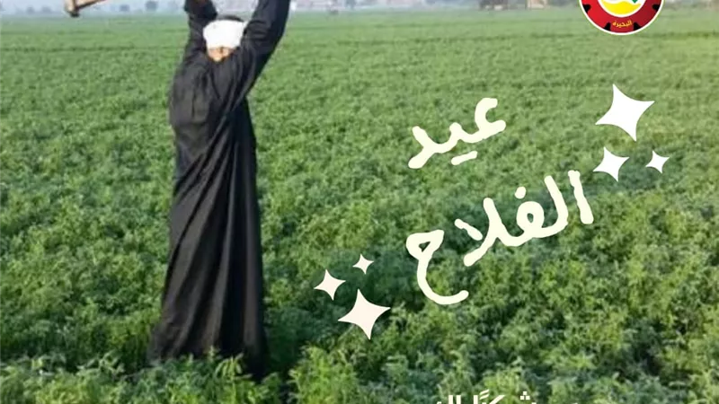 نموذج للكفاح والجدية.. محافظ البحيرة تهنئ مزارعوا البحيرة بعيد الفلاح