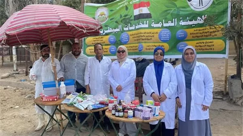 قافلة طبية مجانية تعالج 397 من الخيول والإبل في الأهرامات بالجيزة