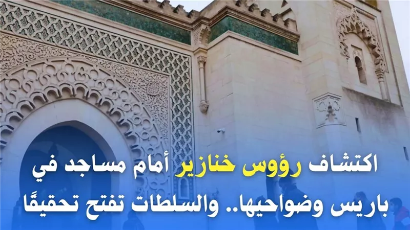 مرصد الأزهر يدين وضع رؤوس خنازير أمام مساجد في باريس