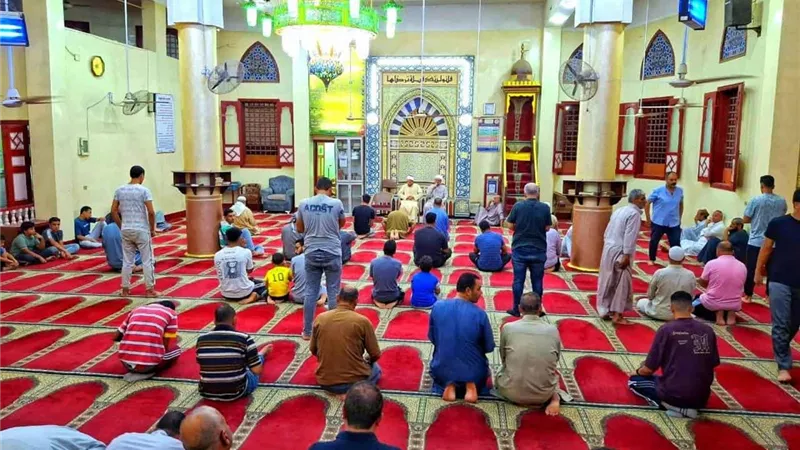 في شهر ربيع الأول.. 80 ندوة علمية بالدقهلية احتفالًا بمولد النبي ﷺ 