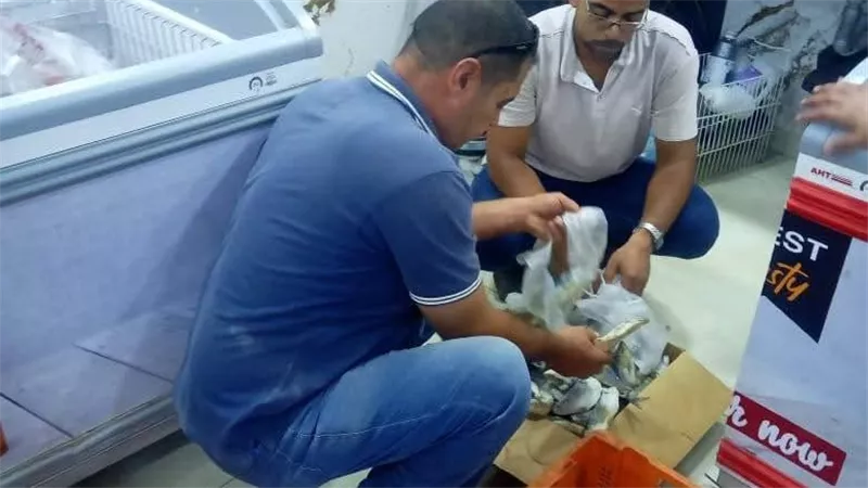 حملة رقابية مكبرة في منوف لضبط المخالفات في الأسواق ومحال المواد الغذائية