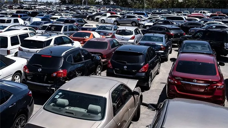 شعبة السيارات: القيودالاستيرادية الجديدة تهدد بفتح الباب للاحتكار ورفع الأسعار