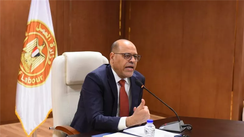 وزير العمل: حملات تفتيش مكثفة لضمان تطبيق الحد الأدنى للأجور وتقنين أوضاع العم
