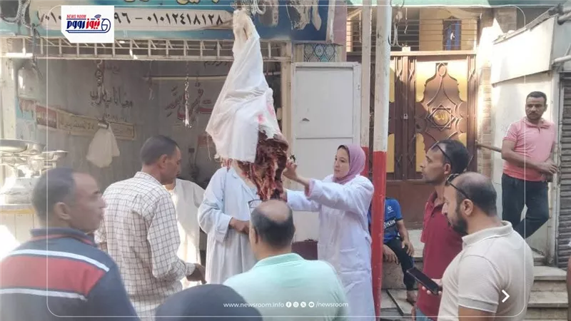 بيطري المنيا يضبط لحوماً مخالفة خلال حملات تفتيشية مكثفة