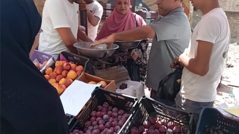تموين دمياط يضبط 320 مخالفة في المخابز والأسواق خلال أسبوع