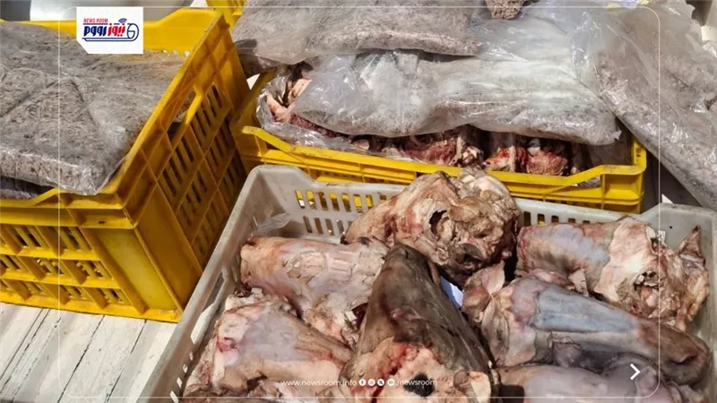ضبط 119 كجم لحوم منتهية الصلاحية وطن من الدقيق المدعم في الفيوم