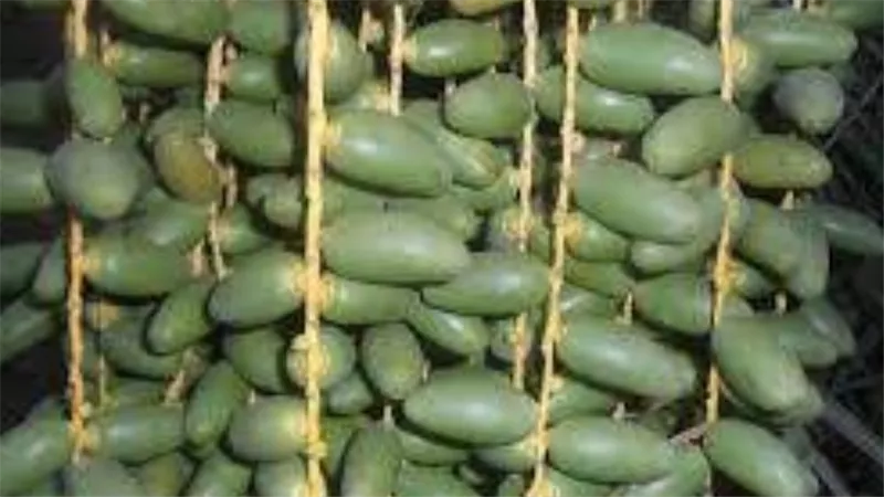 أغرب أكلات الصعيد المصري ..النارخ والخلع تعرف عليها