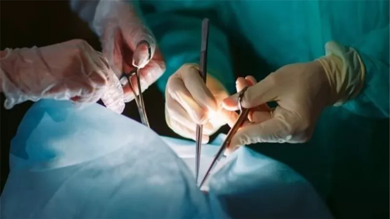 من الغرامة إلى الإعدام.. قانون زرع الأعضاء يواجه المخالفين بعقوبات غير مسبوقة