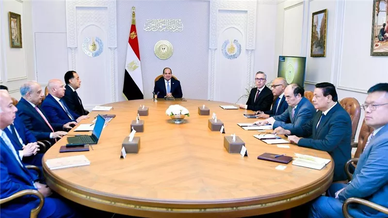  السيسي يبحث مع سكاتك وصنجرو تعزيز استثمارات الطاقة النظيفة والوقود الأخضر