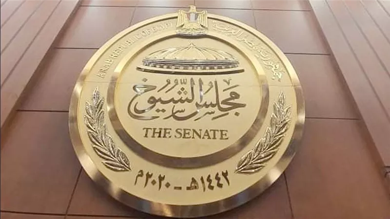 النائبة غادة الضبع: انضم للجنة المشروعات الصغيرة لاستكمال ما بدأته بالنواب