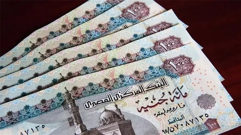 طريقة الاستعلام عن معاشات أكتوبر 2025 عبر الإنترنت خطوة بخطوة