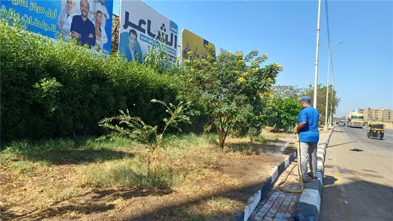 محافظ الغربية يتابع حملات النظافة والتشجير بالمحافظة