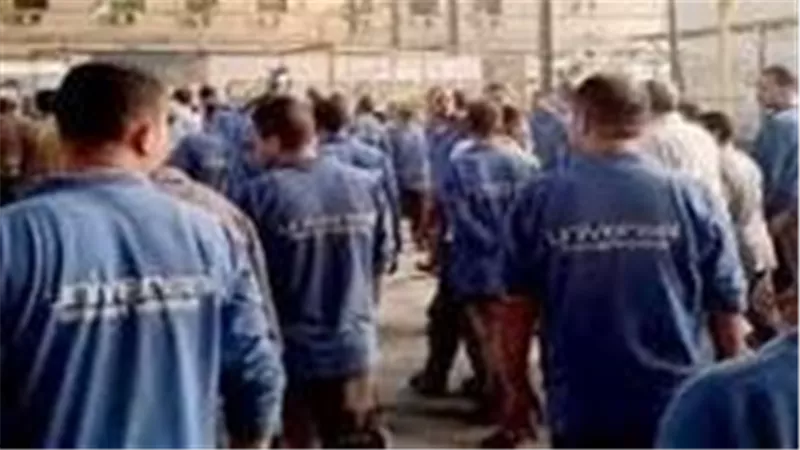 بعد مفاوضات جماعية ليومين.. عمال شركة نايل لينين جروب يعودون للعمل