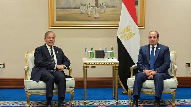 مصر وباكستان: وحدة العالم الإسلامي ضرورية لمحاسبة إسرائيل والحفاظ على السلام