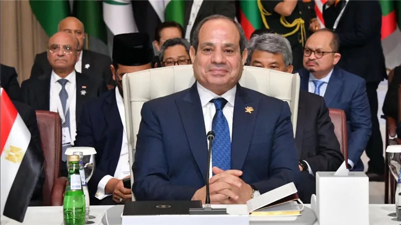 أستاذة علوم سياسية: الرئيس السيسي ربط بين الأمن القومي المصري والملف الفلسطيني