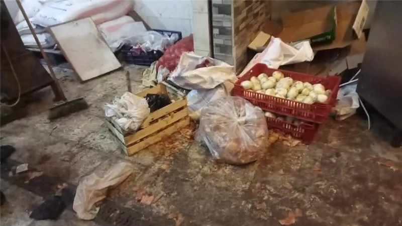 ضبط 250 كيلو دقيق و185 لحوم فاسدة خلال شهر أغسطس ببورسعيد