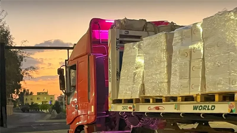 غزة تتلقى دفعة جديدة من المساعدات المصرية لمواجهة البرد ونقص الغذاء|فيديو