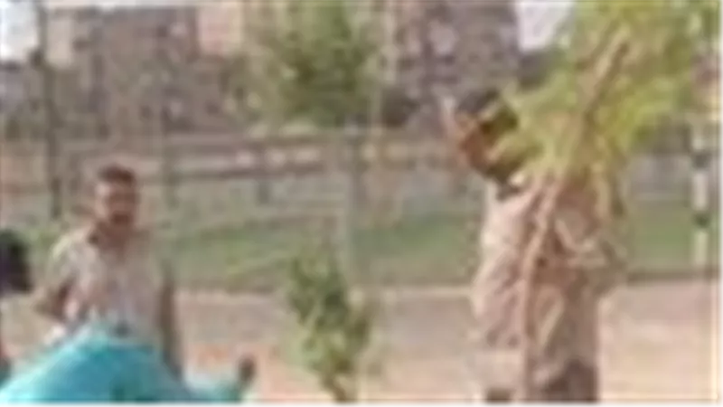 زراعة أشجار بمركز شباب المثلث بالسويس احتفالًا باليوم الدولي للهواء النظيف