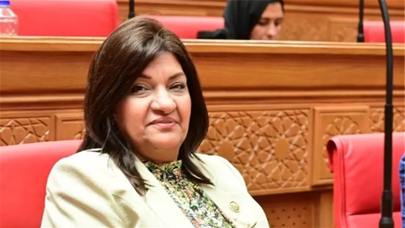إيفلين متى: زيادة أسعار الأراضي الصناعية ضرورة لمواجهة 