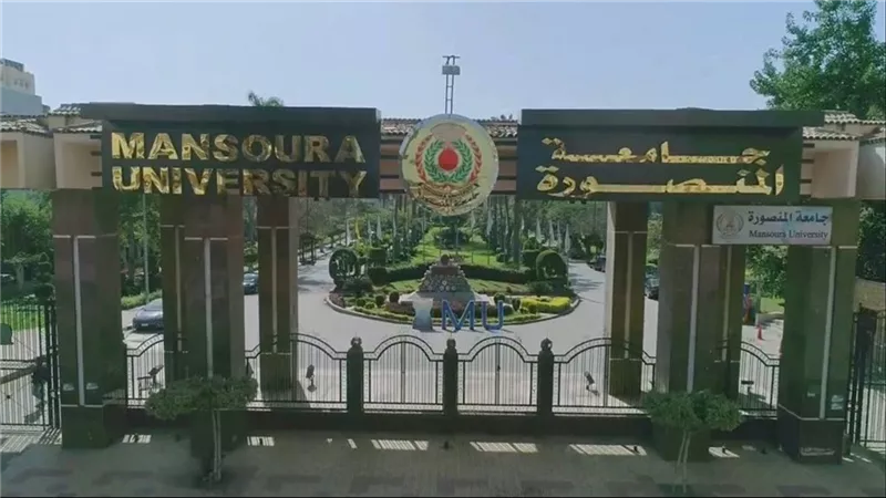 الابتكار يصنع المستقبل.. جامعة المنصورة تتصدر الجامعات في ربط البحث بالصناعة