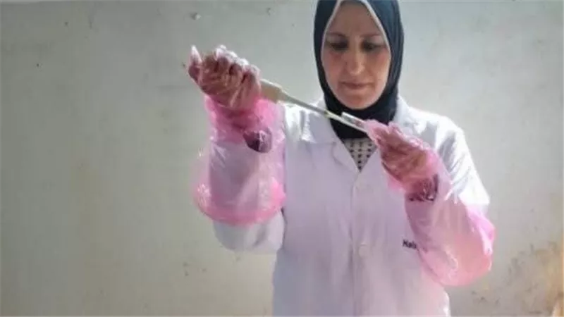 بيطري الشرقية ينتهي من فحص 1760 رأس ماشية ضد البروسيلا و  1372  السل البقرى 