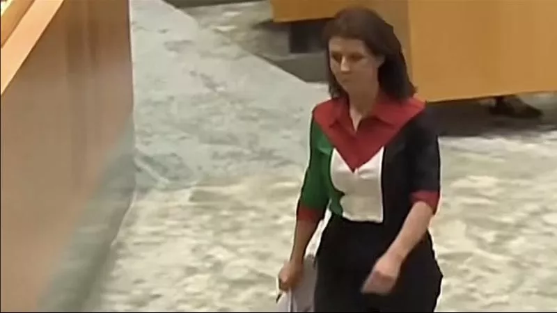 بعد ارتداءه النائبة الهولندية.. نساء ترتدين علم فلسطين في المحافل السياسية