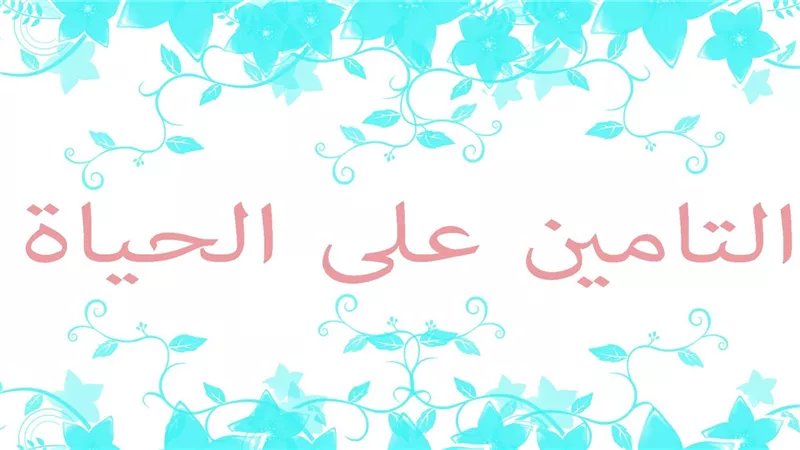 ما حكم اشتراط التأمين على الحياة لضمان القرض.. الإفتاء تجيب
