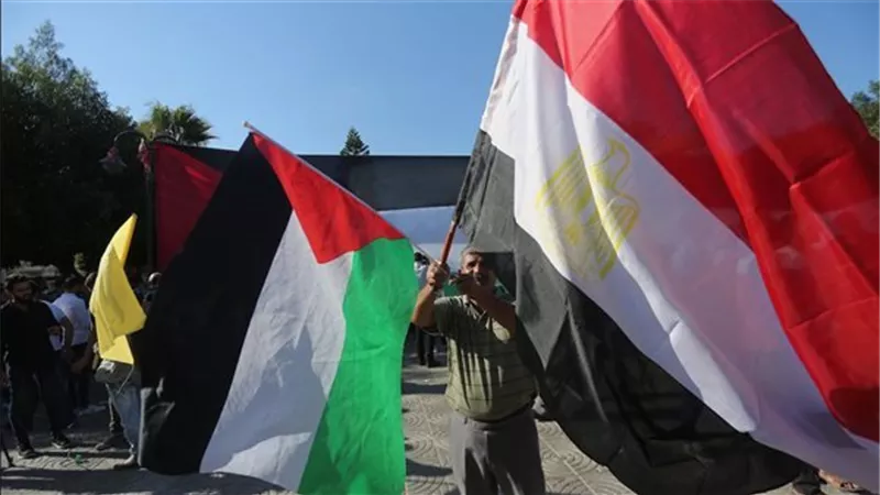 باحثة: مصر تجني ثمار جهودها لإعادة القضية الفلسطينية لصدارة الأجندة الدولية 